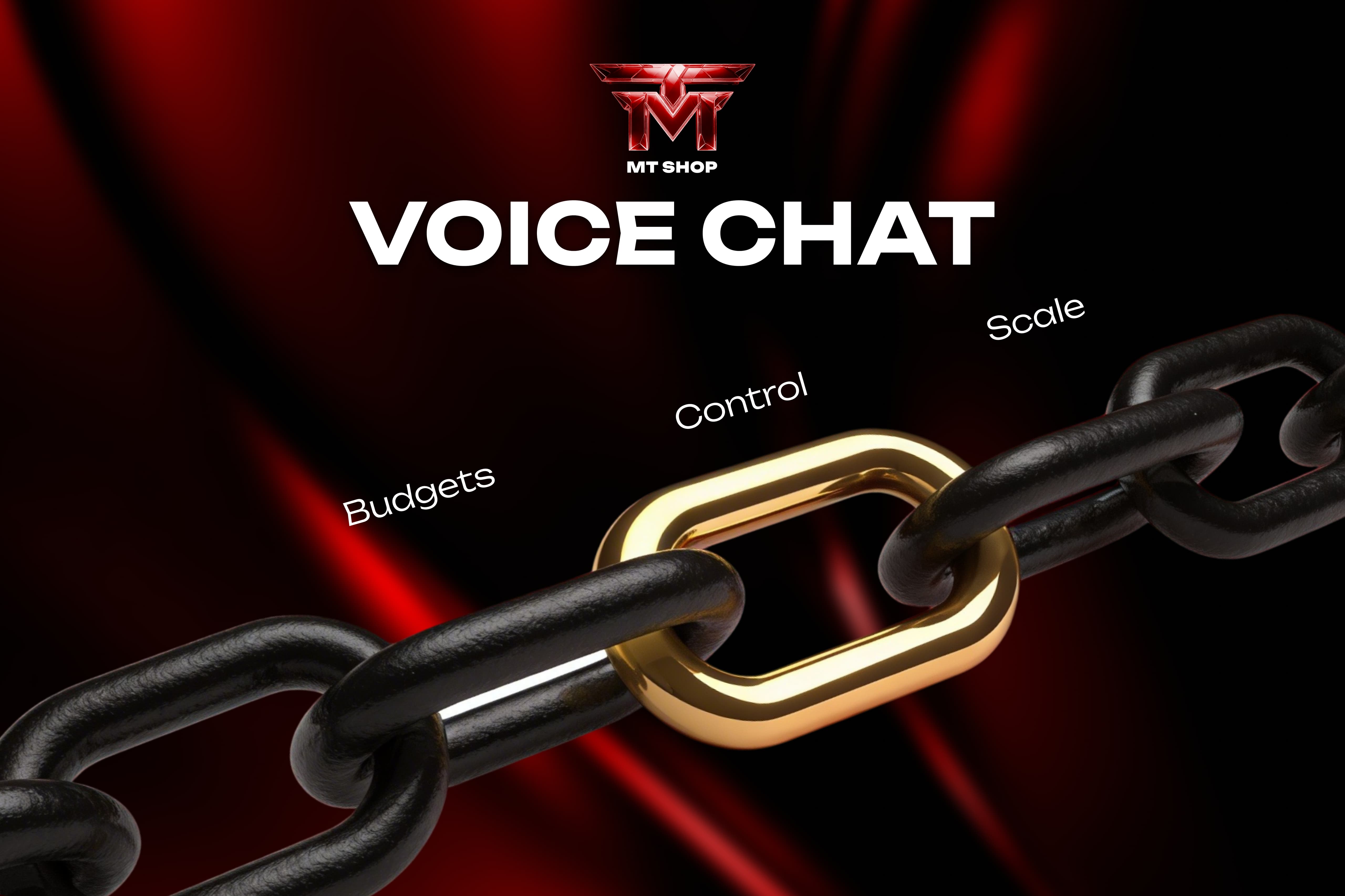 Head of MT Shop & MT Agency (Google) on VOICE: optimizing money and decisions in the affiliate business, traffic arbitrage